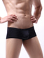 abordables Sous-vêtements pour hommes-Culotte sexy Homme 1 PC Basique Nylon Spandex Sexy Couleur monochrome Taille basse Vert S