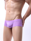 abordables Sous-vêtements pour hommes-Culotte sexy Homme 1 PC Basique Nylon Spandex Sexy Couleur monochrome Taille basse Vert S