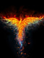 cheap Halloween T shirts-Men's Phoenix T Shirt Long Sleeve T shirt 3D Print Crew Neck Shirt Sports Fashion Sportswear Outdoor Vacation Street White Yellow Red Summer Spring Clothing Apparel S M L XL XXL XXXL 4XL