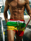 ieftine Costume de Baie &amp; Pantaloni Scurți-Bărbați Boxeri înot Pantaloni Scurți de Înot Costume de Baie Imprimare 3D Design Elastic cu Cordon Plajă Grafic Bloc Culoare Copac de cocos Vară / Talie medie