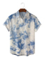 levne Pánské košile s potiskem-Pánské Košile Tisk Grafika Batikované Klasický límeček Párty Denní 3D tisk Krátký rukáv Topy Designové Havajské Modrobílá