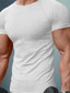 billige Casual T-shirts til mænd-Herre T-shirt Sommer Helfarve Kortærmet Rund hals Afslappet Daglig Tøj Tøj Letvægt Afslappet Mode Havblå Hvid Sort