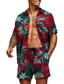 tanie Zestawy koszul męskich-Męskie Koszula hawajska Podkoszulek Zestaw Graficzny Aloha Wieczorne Srebrny Czerwony / Biały Zielony / Czarny Morski Zielona oliwka Druk 3D Codzienny Urlop Krótki rękaw 3D Odzież Designerskie Styl