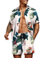 billige Herreskjortesæt-Herre Hawaii skjorte T-shirt Sæt Grafisk Aloha Aftæpning Sølv Rød / Hvid Grøn / Sort Havblå Olivengrøn 3D-udskrivning Afslappet Daglig Kortærmet 3D Tøj Designer Strandstil