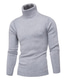 billige sweater til mænd-Herre Bluse bluse Jumper Strikke Strikket Helfarve Rullekrave Stilfuld Afslappet / Hverdag Efterår Vinter Hvid Sort XS S M / Langærmet