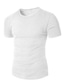 billige Casual T-skjorter for menn-Herre T skjorte Sommer Kortermet Helfarge Crew-hals Gate Avslappet Klær Klær Grunnleggende Fritid Mote Hvit Svart Blå