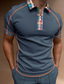 voordelige klassieke polo-Voor heren POLO Shirt Golfshirt Kleurenblok Strijkijzer Straat Casual Vetoketju Korte mouw Tops Casual Modieus Comfortabel Stoffig blauw