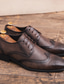 abordables Oxfords Homme-Homme Oxfords Chaussures bout d&#039;aile Casual Classique du quotidien Bureau et carrière Polyuréthane Noir Marron Printemps Eté