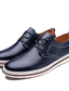 رخيصةأون أحذية أوكسفورد للرجال-رجالي أوكسفورد أحذية رسمية الأعمال التجارية كاجوال مناسب للبس اليومي الحفلات و المساء المشي جلد أسود بني أزرق الخريف الربيع