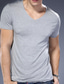 billige Casual T-shirts til mænd-Herre T-shirt Vanlig V-hals Gade Ferie Kortærmet Tøj Mode Designer Afslappet Bekvem