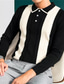 billige strik polo sweater-Herre POLO Trøje Strik Polo Golftrøje Farveblok Aftæpning Sort Gade Daglig Langærmet Knap ned Tøj Mode Afslappet Bekvem