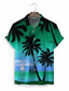 levne Havajské košile-Pánské Košile Havajská košile Letní košile Grafika Havajské Aloha Design Přehnutý Černobílá Oranžová Trávová zelená Tisk Ležérní Denní Krátký rukáv 3D tisk Oblečení Módní Designové Na běžné nošen