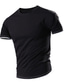 billige Casual T-shirts til mænd-Herre T-shirt Vanlig Rund hals Gade Ferie Kortærmet Tøj Mode Afslappet Bekvem