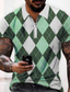 cheap Classic Polo-Men&#039;s Collar Polo Shirt Golf Shirt T shirt Tee 3D Print Argyle Turndown Casual Daily Zipper Print Short Sleeve Tops Casual Fashion Comfortable Sports Black / White Green Blue / Summer