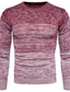 billige sweater til mænd-Herre Bluse Pullover trøje Rillet Strikke Strikket Farvegradient Rund hals Basale Stilfuld Daglig Ferie Tøj Vinter Efterår Blå Rød M L XL