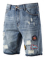 cheap Casual Shorts-Men&#039;s Jeans Shorts Distressed Jeans Ripped Fashion Street Style Blue 28 29 30