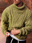 ieftine pulover pentru bărbați-Bărbați Pulover Pulover pulover Grosolan Tricotat Tricotat Culoare solidă Guler de stand De Bază Stilat Zilnic Concediu Îmbrăcăminte Toamnă Iarnă Verde Militar Gri Închis S M L / Manșon Lung