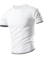 abordables T-shirts décontractés pour hommes-Homme T shirt Tee Plein Col Rond Plein Air Vacances Manche Courte Vêtement Tenue Mode Casual Confortable