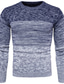 Недорогие мужской пуловер-свитер-Муж. Вязаная ткань Пуловер Свитер Рельефный узор Вязать Трикотаж Градиент цвета Вырез под горло Классический Стиль Повседневные Праздники Одежда Зима Осень Синий Красный M L XL