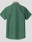 Недорогие мужские повседневные рубашки-Муж. льняная рубашка Рубашка Однотонный Дизайн Воротничок Воротник с уголками на пуговицах (button-down) Черный Белый Синий Зеленый Хаки Хлопок Повседневные С короткими рукавами Одежда