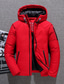 cheap Men&#039;s Downs &amp; Parkas-Men&#039;s Down Jacket Puffer Jacket Winter Jacket Parka Work Daily Wear Winter Long Coat Loose Fit Warm Casual Casual Daily Jacket Long Sleeve Pure Color Print Black Red Gray