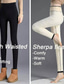 cheap Fleece Lined Leggings-Women&#039;s Normal Fleece Pants Tights Leggings Tights Casual / Sporty Athleisure Ankle-Length High Waist Plain Tummy Control Butt Lift Comfort Micro-elastic Yoga Weekend Black Navy Blue Light Grey Gray