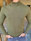 Недорогие мужской пуловер-свитер-Муж. Рубашка Этно Вырез под горло Военно-зеленный на открытом воздухе Дом Верхушки Классический Для офиса На каждый день Классика