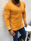 ieftine pulover pentru bărbați-Bărbați Pulover Pulover pulover Striat Tricotat Decupată Tricotat Culoare solidă În V De Bază Stilat În aer liber Zilnic Îmbrăcăminte Iarnă Toamnă Negru Galben S M L / Bumbac / Manșon Lung
