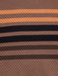 ieftine pulover pentru bărbați-Bărbați Plover Striat Tricotat Tricotat Dungi Rundă Păstrați-vă cald Contemporan modern Purtare Zilnică Ieșire Îmbrăcăminte Iarnă Toamnă Cafea S M L / Manșon Lung / Manșon Lung