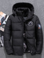 cheap Men&#039;s Downs &amp; Parkas-Men&#039;s Down Jacket Winter Jacket Winter Coat Windproof Warm Date Casual Daily Office &amp; Career Astronaut Outerwear Clothing Apparel Black Red Blue