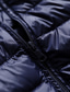 Χαμηλού Κόστους Ανδρικά Πουπουλένια Downs &amp; Παρκά Μπουφάν-Ανδρικά Πουπουλένιο Χειμωνιάτικα μπουφάν Χειμερινό παλτό Αντιανεμικό Ζεστό Causal Πεζοπορία Συμπαγές / Απλό χρώμα Εξωτερικά ενδύματα Ρούχα Μαύρο Σκούρο πράσινο Μπορντώ / Χειμώνας / Χειμώνας