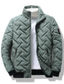 economico Piumini e parka da uomo-Per uomo Piumino Giacca bomber Giacca trapuntata Zip intera Informale Da tutti i giorni Standard Casual quotidiano Di moda Antivento Tenere al caldo Autunno Inverno Righe e Plaid Nero Verde chiaro