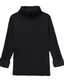 cheap Women&#039;s T-shirts-Women&#039;s T Shirt Undershirt Bottoming Shirt Basic Plain Regular Tops Long Sleeve Turtleneck High Neck Regular Fit Daily Weekend Turtleneck burgundy plus velvet turtleneck black fleece Turtleneck