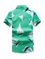 baratos Camisas havaianas-Homens Camisa havaiana Gráfico Aberto para a Lateral Verde Ao ar livre Casual Manga Curta Imprimir Roupa Havaiana Estilo Praia