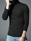 ieftine Tricouri casual pentru bărbați-Bărbați Tricou Tricou cu maneca lunga Simplu Guler Pe Gât În aer liber Casual Îmbrăcăminte Modă Șic Stradă Clasic