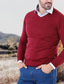 abordables pull-over pour hommes-Homme Pull Chandail Pull Tricoter Style classique Couleur unie Col V Vêtement Tenue Hiver Vin Rouge S M L
