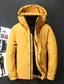 cheap Men&#039;s Downs &amp; Parkas-Men&#039;s Down Jacket Parka Winter Long Pure Color Print Casual Casual Daily Work Daily Wear Warm Black Yellow Red White