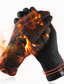abordables Bufandas y guantes de hombre-Hombre 1 Par Guantes de Invierno Guantes guantes de punto Trabajo Exterior Guantes Elegante Antideslizante Color sólido Negro Gris