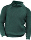 tanie sweter męski sweter-Męskie Sweter Sweter sweter Prążkowany Robić na drutach Skrócona długość Dzianiny Golf Współczesny współczesny Dzienne zużycie Wyjściowe Odzież Jesień i zima Czarny Zielony S M L