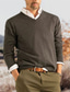 Недорогие мужской пуловер-свитер-Муж. Вязаная ткань Пуловер Свитер Вязать Классический Сплошной цвет V-образный вырез Одежда Зима Винный Красный S M L