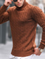 Недорогие мужской пуловер-свитер-Муж. Вязаная ткань Пуловер Свитер Рельефный узор Вязать Укороченный Трикотаж Сплошной цвет Хомут Сохраняет тепло Современный современный Офис На каждый день Одежда Наступила зима Коричневый Синий S M