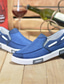 baratos Sapatilhas e Mocassins para Homem-Homens Sapatos Tênis Clássico Lona Cor do cartão Azul Cinzento Primavera Outono