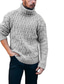billige sweater til mænd-Herre Pullover trøje Kabel Strikke Beskåret Strikket Helfarve Rullekrave Basale Stilfuld udendørs Daglig Tøj Vinter Efterår Mælkehvid Blå S M L