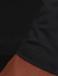 abordables Camisetas casuales de hombre-Hombre Camisas que absorben la humedad Camiseta superior Camisa musculosa Plano Cuello Barco Deporte Calle Manga Larga Secado rápido Ropa Deportes Moda Ejercicio