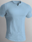 お買い得  メンズカジュアルTシャツ-男性用 Tシャツ 平織り Ｖネック ストリート バケーション 半袖 衣類 デザイナー ベーシック 現代コンテンポラリー