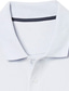 billiga Klassisk pikétröja för män-Herr POLO Shirt Pikétröja i bomull Utomhus Ledigt Polokrage Långärmad Ledigt Bekväm Ensfärgat Slät Knapp Fram Button-Down Vår Höst Normal Svart Vit Gul Rodnande Rosa Marinblå Blå POLO Shirt