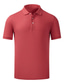 cheap Classic Polo-Men&#039;s Polo Shirt Golf Shirt Outdoor Work Polo Collar Short Sleeve Fashion Streetwear Solid Color Plain Button Front Summer Spring Regular Fit Wine Black White Light Green Pink Red Polo Shirt
