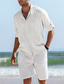 billige mænds fritidsskjorter-Herre linned skjorte Sommer skjorte Sort Hvid Navyblå Langærmet Vanlig Aftæpning Forår sommer Afslappet Daglig Tøj