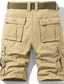 abordables Shorts pour hommes-Homme Short Cargo Short 6 poches Lettre Confort Extérieur du quotidien Sortie 100% Coton Mode Vêtement de rue Noir Vert Véronèse