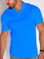 Недорогие классическое поло-Муж. Рубашка Футболка-поло Рубашка для гольфа Воротник-поло Лето С короткими рукавами Светло-синий Темно-синий Черный Полотняное плетение на открытом воздухе Повседневные Одежда